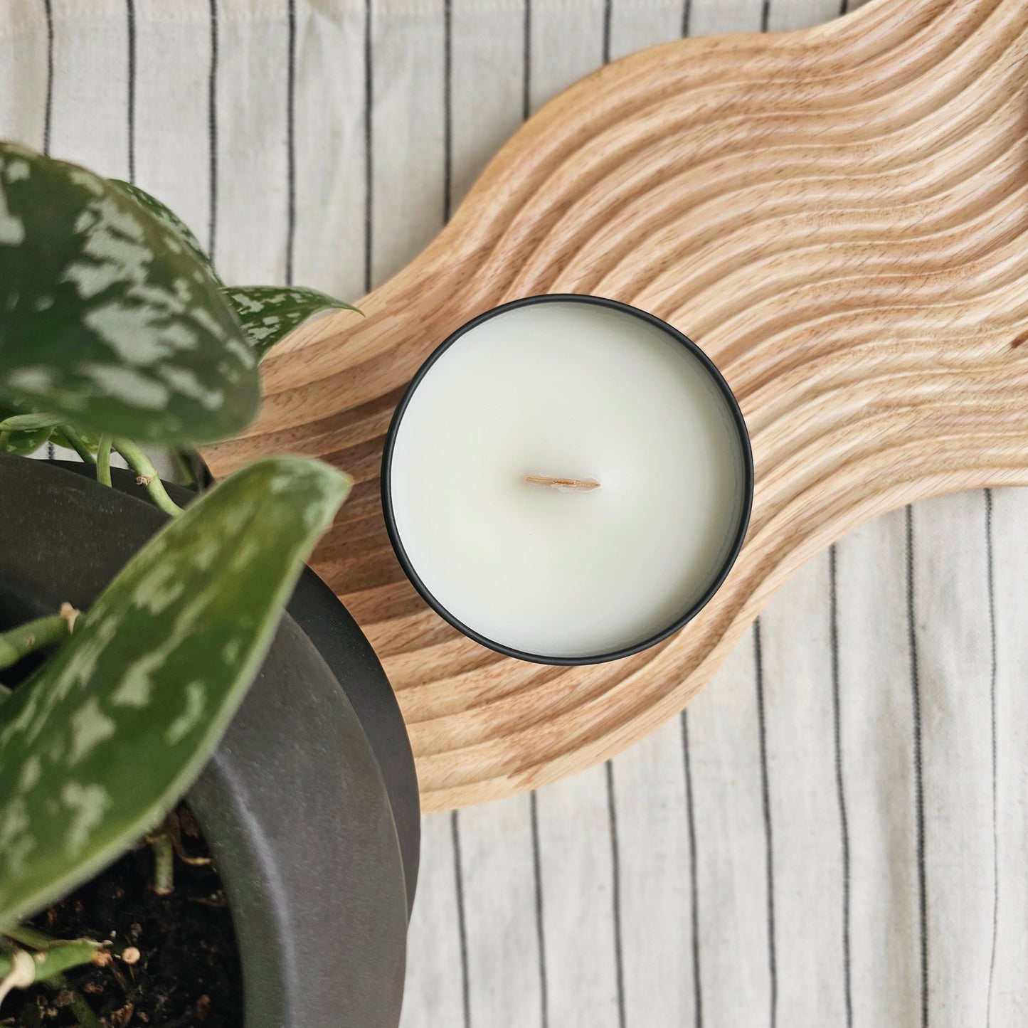 SUNSET Door County 6 oz Candle in Stone Fruit + Amber