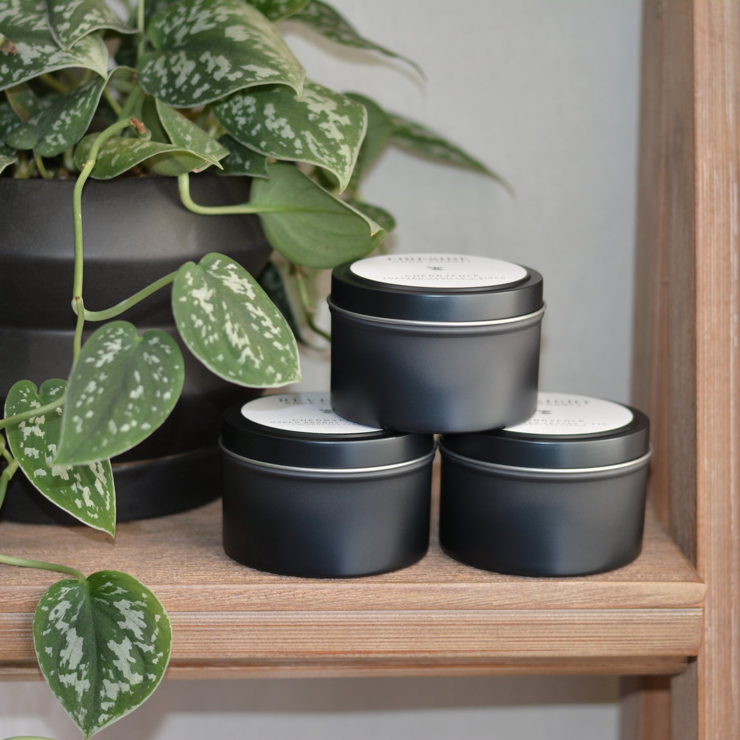 FIRESIDE Door County 6 oz Candle in Toasted Vanilla + Birch