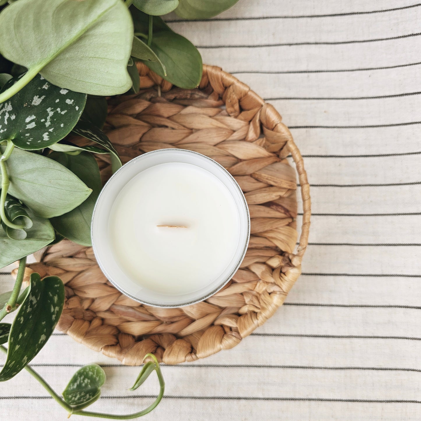 LAKESIDE Driftwood + Lemon Candle