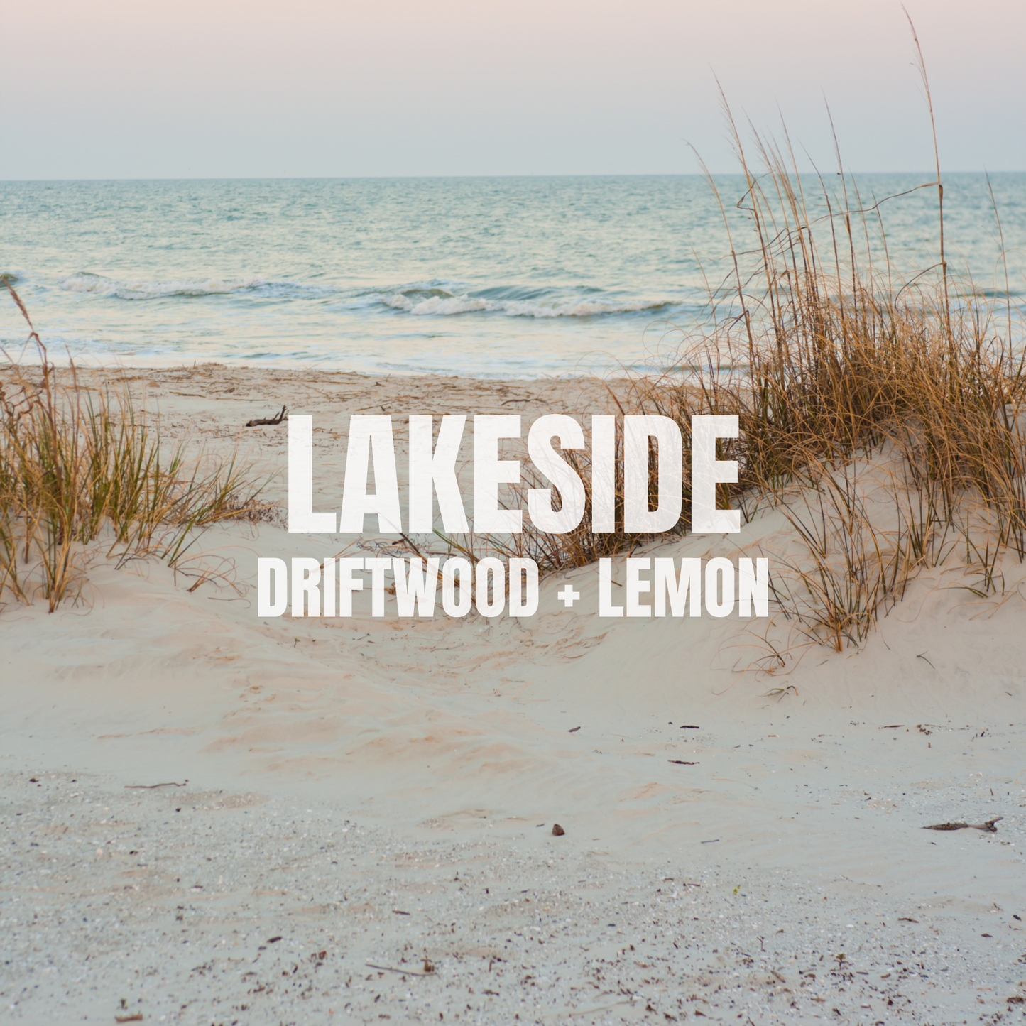 LAKESIDE Driftwood + Lemon